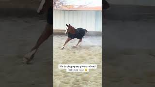 Hyping up my western pleasure bred horse to go fast #horse #weaternpleasure #aqha #quarterhorse