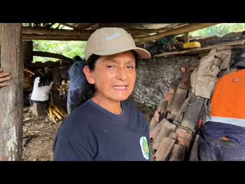 elaboración de la panela o chancaca de la cala de azúcar