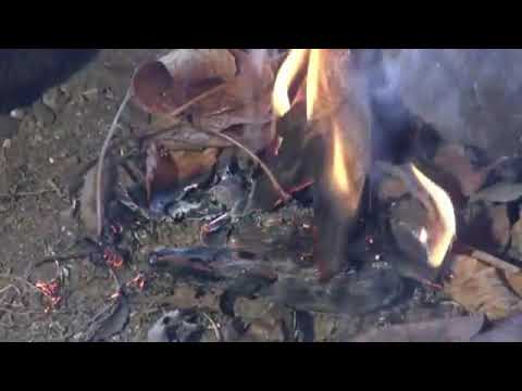 Feuer  Wärme und Licht damals und heute