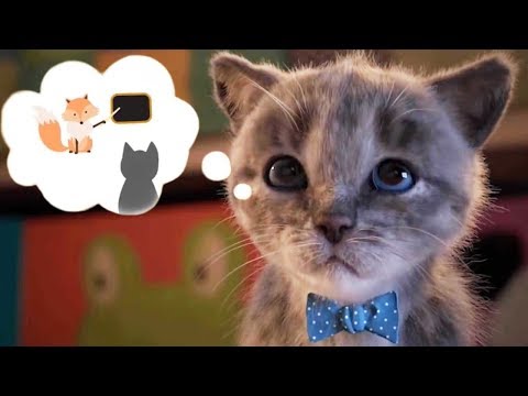 Gatos Preescolar - Nuevo Gatito Aventuras Dibujos Animados Infantiles | Vídeos Graciosos