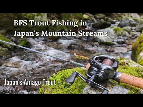 Japan Trout Fishing | Exploring Japan's Mountain Streams | First Time