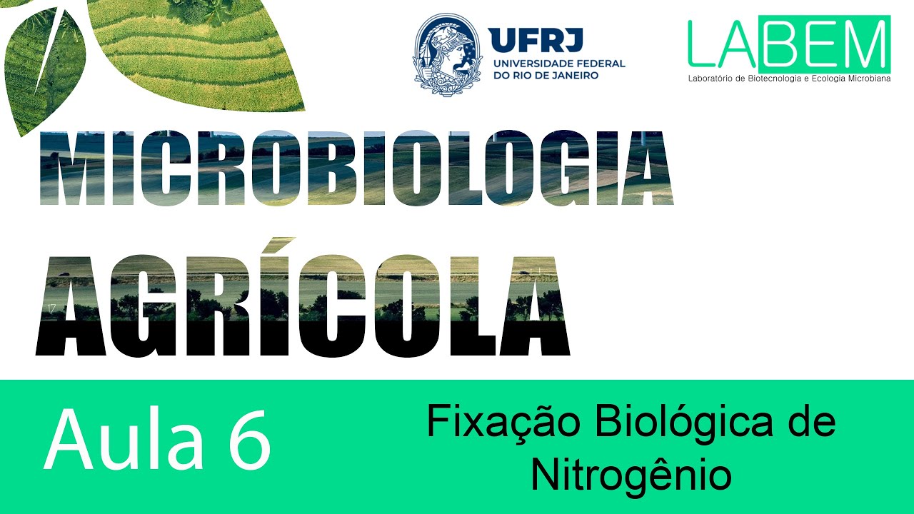Aula 06 - Fixação biológica de Nitrogênio - Profa. Lucy Seldin