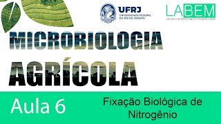 Aula 06 - Fixação biológica de Nitrogênio - Profa. Lucy Seldin