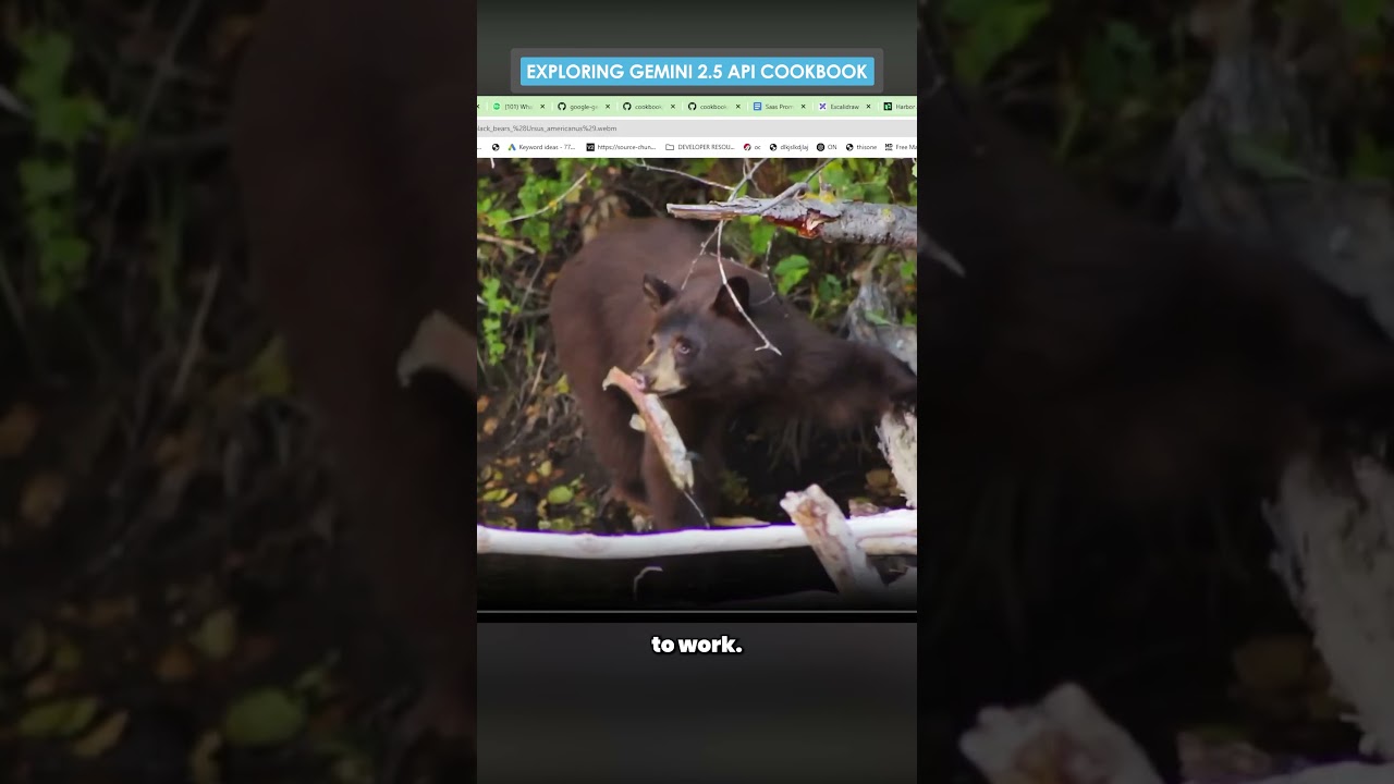 Google API Cookbook - It's INCREDIBLE! #google #googlegemini #api