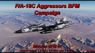 DCS F/A-18C Aggressors BFM Campaign -  BFM 01