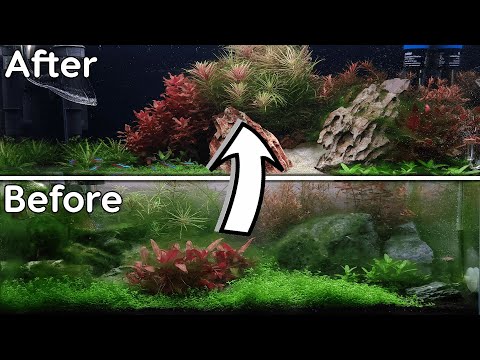 12 Gallon Aquarium Transformation/Rescape Cinematic  - Fixing This Mess