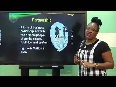 Principle of Business CSEC- The Nature of Business Types of Sectors