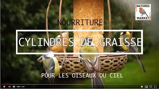 Miniature de la vidéo