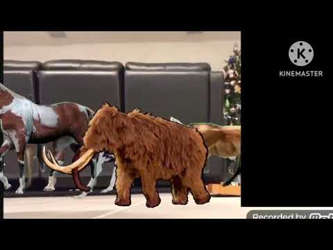 Animals Stampede Part 1