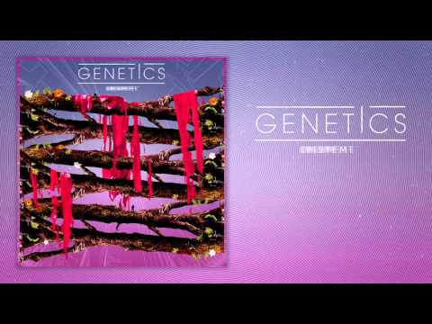 Genetics - Episteme - 02 - Flow