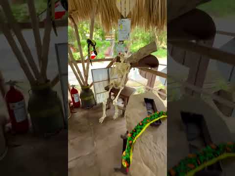 Ometepe, Rivas #nicaragua #ometepe #rivas #isla #altagracia