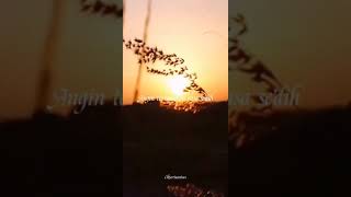 Download lagu Story WA Catatanku [Lyrics] mp3