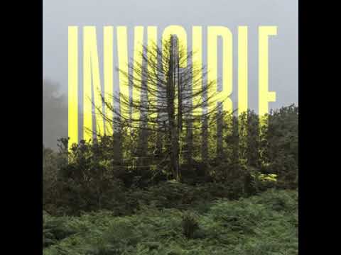 Ólafur Arnalds - The Invisible EP (Full Album)