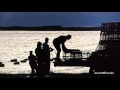 Hot Chip - These Chains