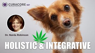 Holistic & Integrative Medicine - Dr. Narda Robinson