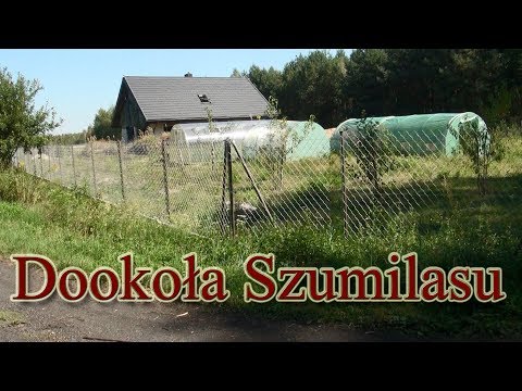 Dookoła Szumilasu - spacer po najbliższych terenach
