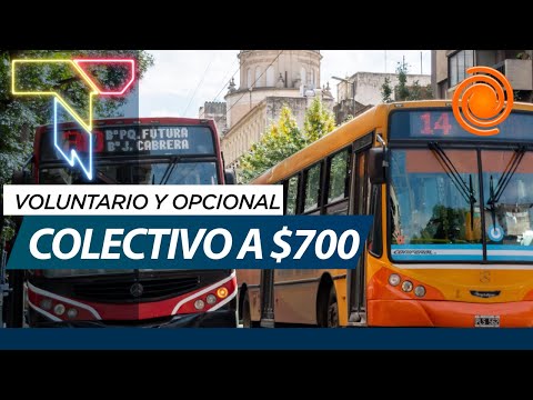 Los pasajeros de trenes y colectivos podrán ELEGIR si quieren o no el subsidio en la tarifa