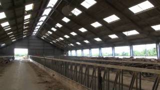 preview picture of video 'Dan Dutch Farms - FarmVideo 025 Melkveebedrijf in Farsø'