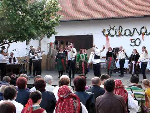 Včelaran 50 - Když sem sa oženil - 2. sloka.MPG