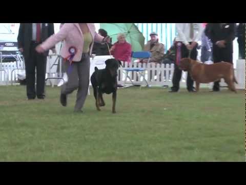 download lagu mp3 mp4 Danari De Beers, download lagu Danari De Beers gratis, unduh video klip Danari De Beers