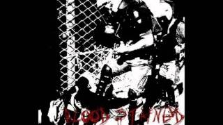 Blood Stained Reality- Fuck the Radio