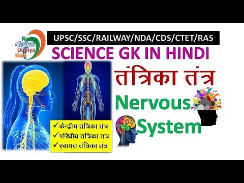तंत्रिका तंत्र | Nervous System | Science Gk | Gk in Hindi | Science | SSC | Gk | Gk Hindi Video