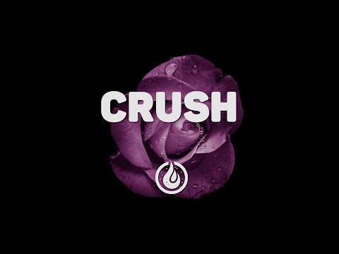 Lucian X Tiffany Day - Crush [Lyrics Video] ♪