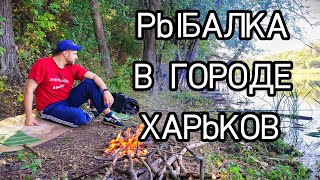 Ссылка