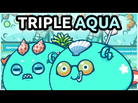Triple Aqua Build! - 1875 MMR Off-season Gameplay | Axie Infinity