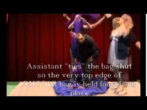 Saturn Magic -Bag Escape by Leaping Lizards - DVD