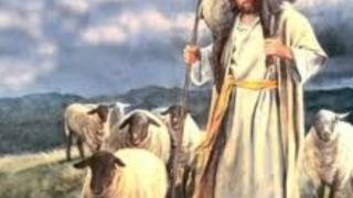 Green Pastures in the Sky