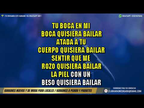 Randy Feijoo - Medley Fiesta 04 KARAOKE  + COROS | HD