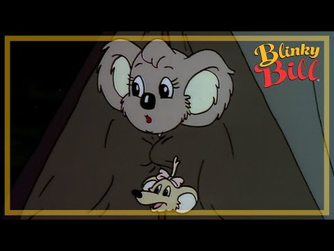 BLINKY BILL GOES CAMPING - Episode 3 - Season 2 - The Adventures of Blinky Bill