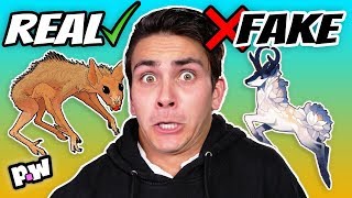 Hobbykidstv Sent Fortnite Mystery!    Box From Ebay 1 000 Vs 10 - real vs fake mythical creatures folklore guess the real or fake mythological creatures