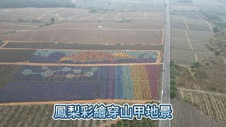屏東高樹景點 | 2024鳳梨彩繪穿山甲地景 | 4K 60P 空拍
