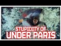 WHY These Sharks Could NEVER EXIST Under Paris