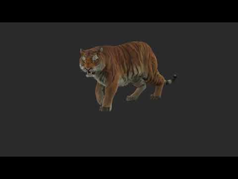 CGI VFX Breakdowns   Making of Tiger for Lilyhammer   by Panoptiqm   TheCGBros