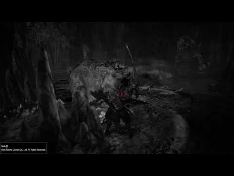 Nioh (Stupid Fails)