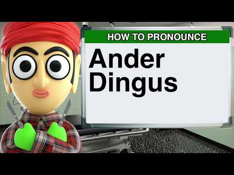 How to Pronounce Ander Dingus