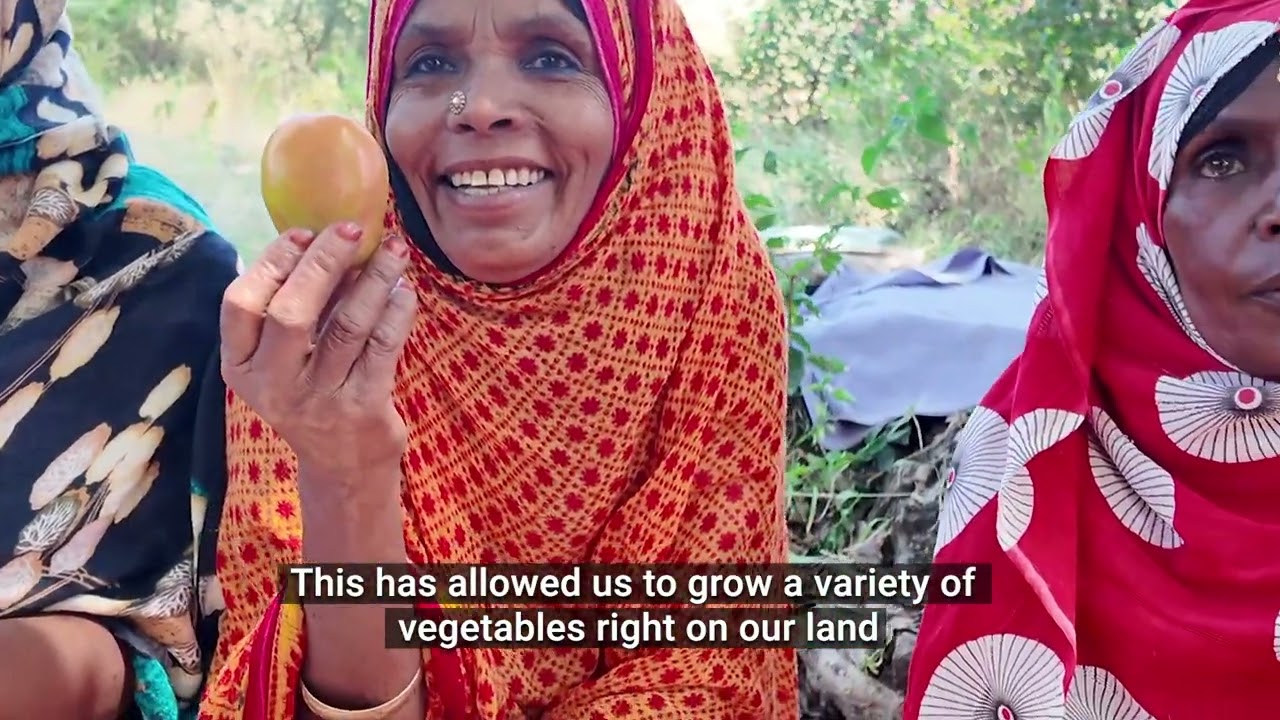 Community-led ecosystem restoration in Eritrea’s Anqerbalwa landscape