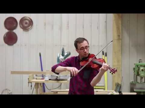 The Open Rays - Far From Spring - Misc Originals