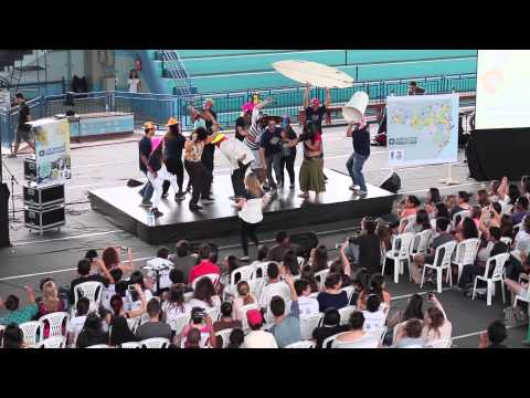 Harlem Shake - Aulão da UFSC 2014 | Pró Universidade