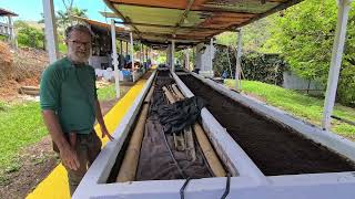 Vermiculture and Rural Tourism + Dr. Worm: The Secret to Making Profitable Humus at Home!