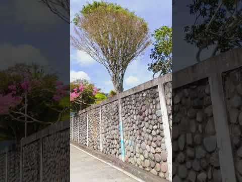 La Llanada Nariño #paisajesextremos #nariño #colombia #monument #foryoupage