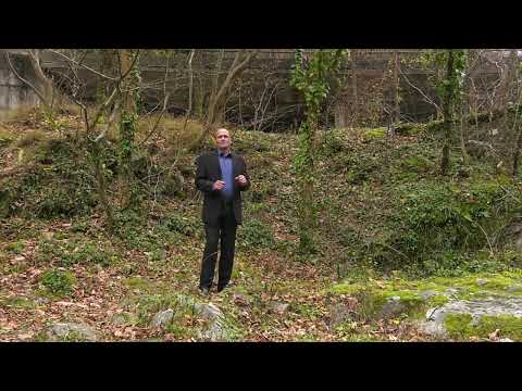 Nela Breazu - In miez de noapte prin sat