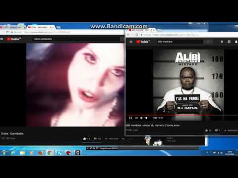 Alibi Montana VS Orties