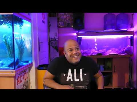 la boite à questions