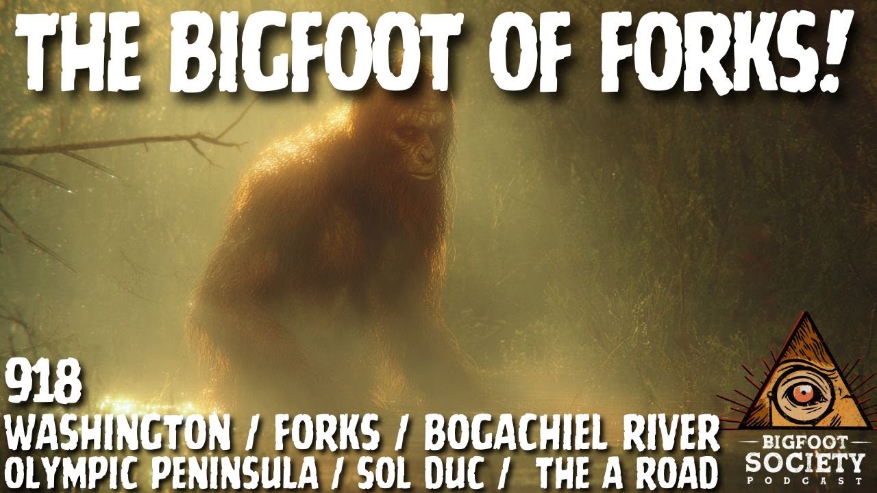 Blonde Sasquatch of the Bogachiel! | Washington