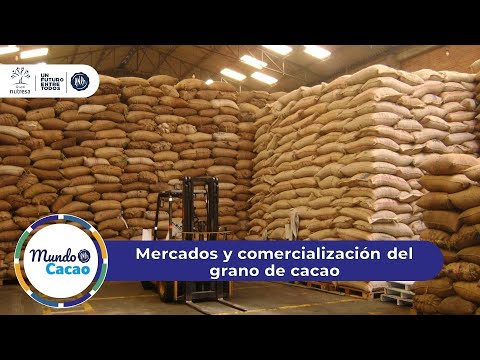 , title : 'Mercados y comercialización del grano de cacao | CNCH'