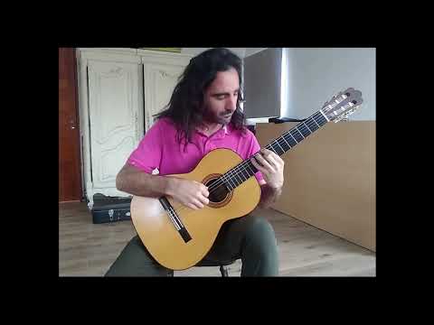 "Pajaros en el monte" (Abel Fleury)